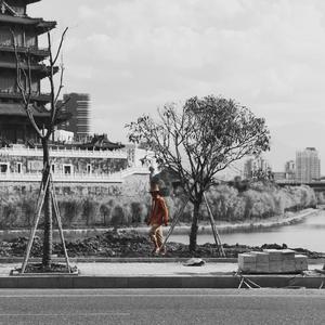 欧菜换妻性爱视频在线观看
